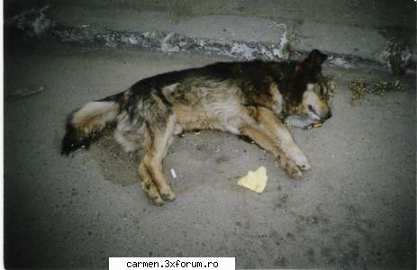 e posibil asa ceva? ce se intampla la navodari