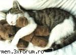 imagini - luminita_f39 - diverse